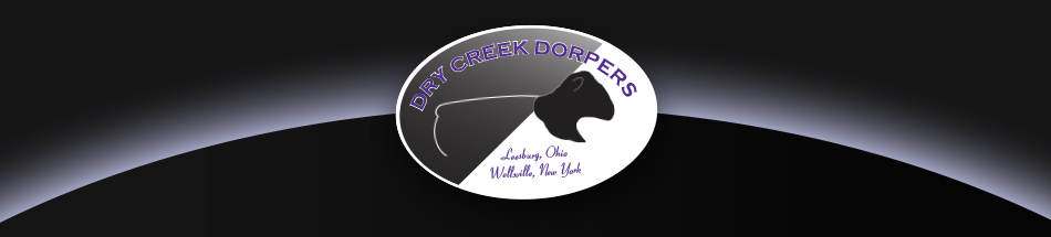 Dry Creek Dorpers
